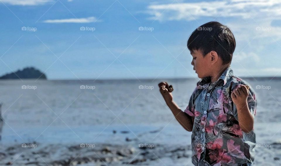 Collecting shells
