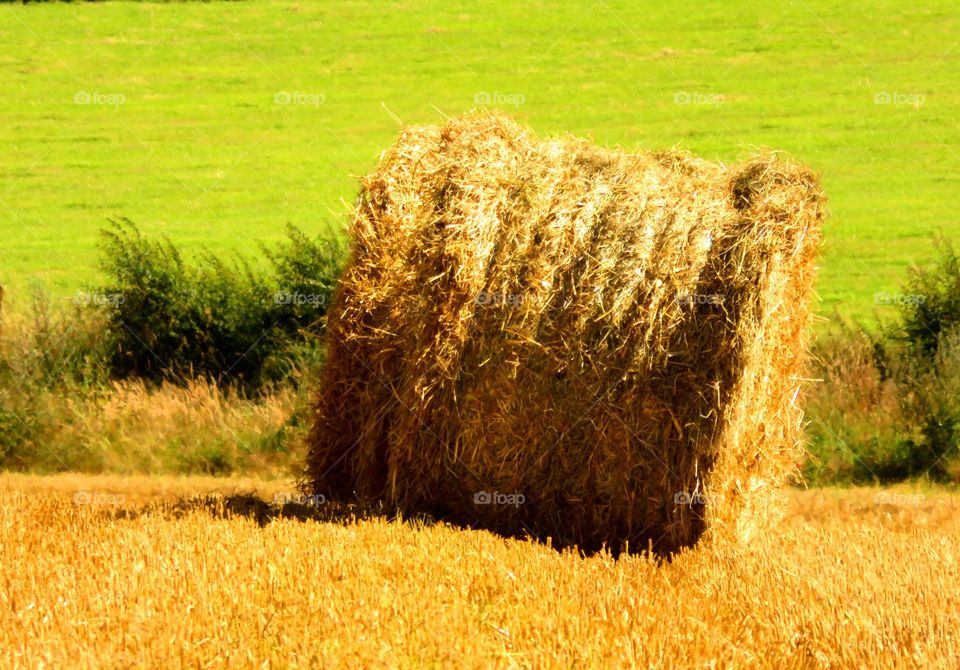 haystack