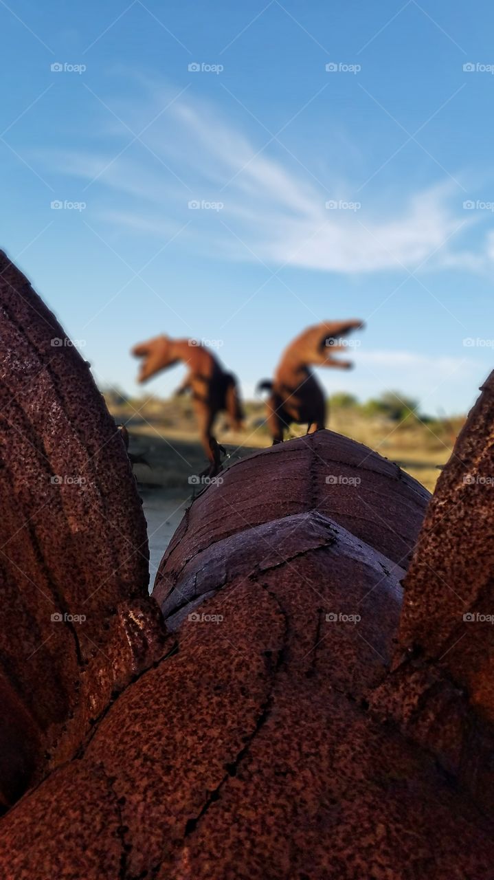 Close-up of tyrannosaurus rex sculpture