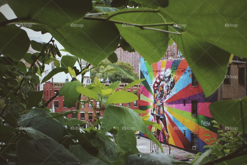 No Person, Leaf, Flora, Garden, Outdoors