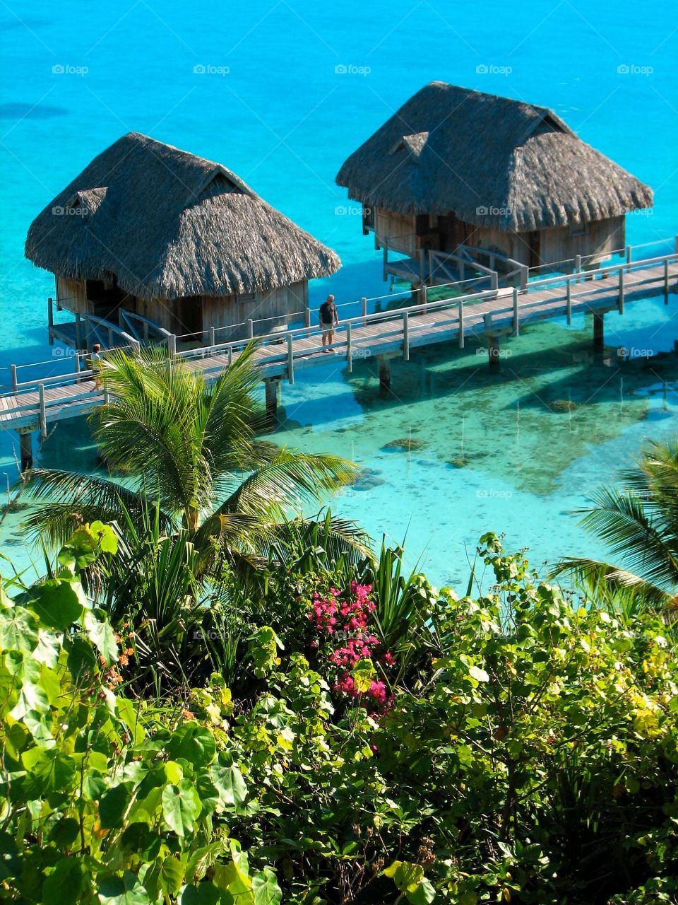 Overwater bungalows. Overwater bungalows in Bora Bora at the Sofitel Private Island, French Polynesia