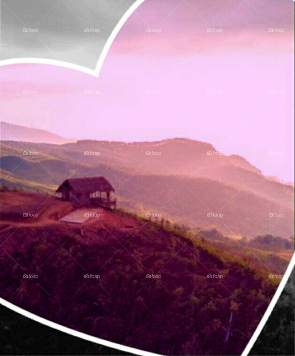 Sri lanka hill country