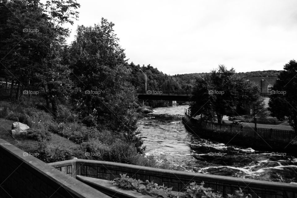 Greyscale River