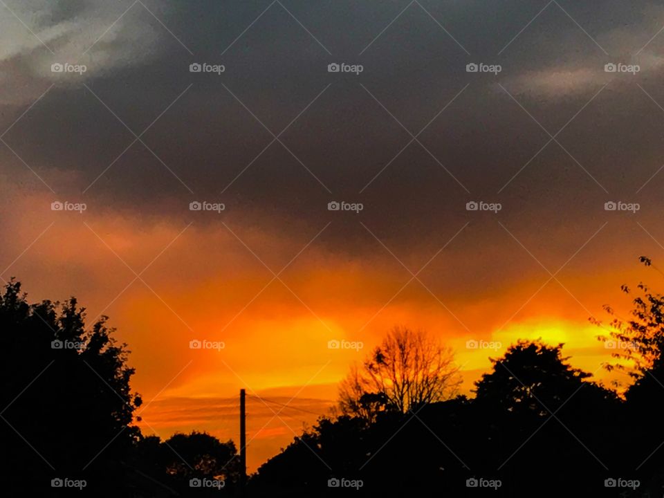 Silhouettes in orange sky