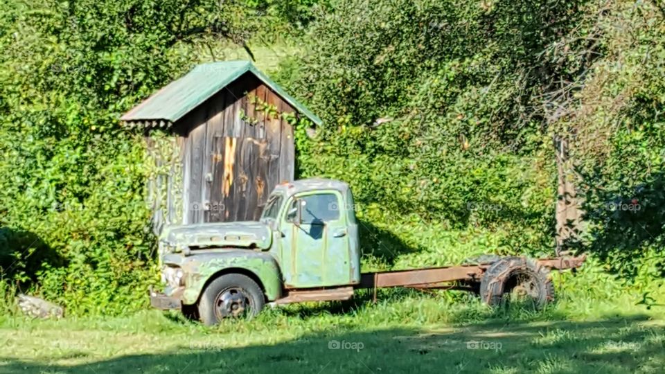 old green truck old green roof