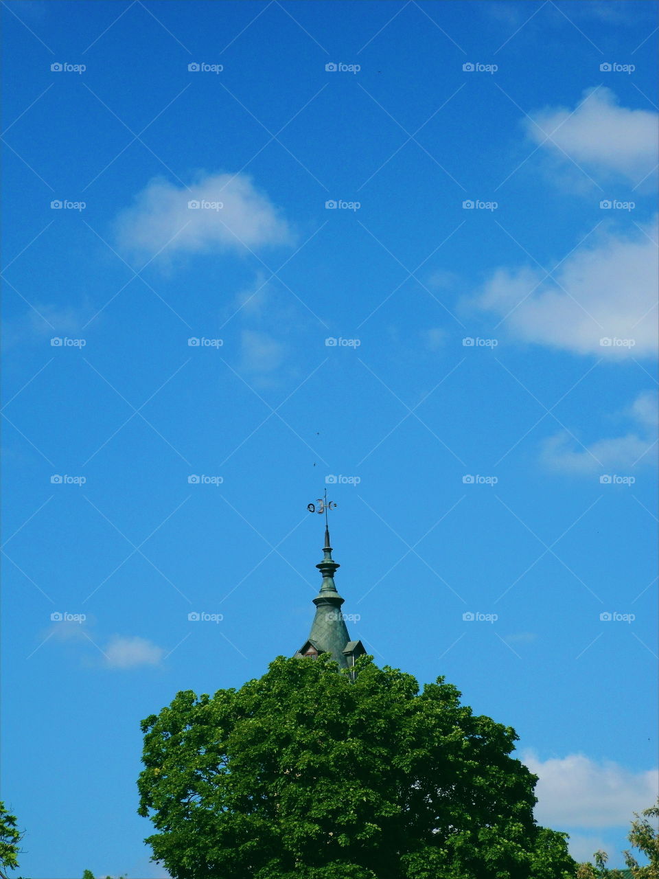 Tower of a building peeking out from behind a tree