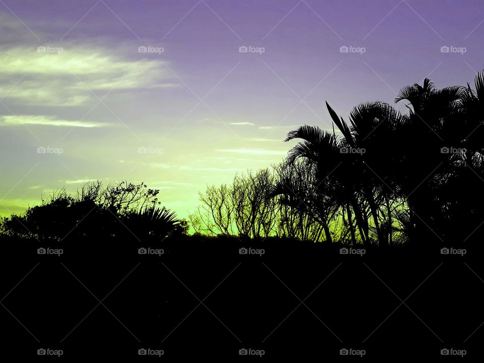 Green &  light perpul sunset