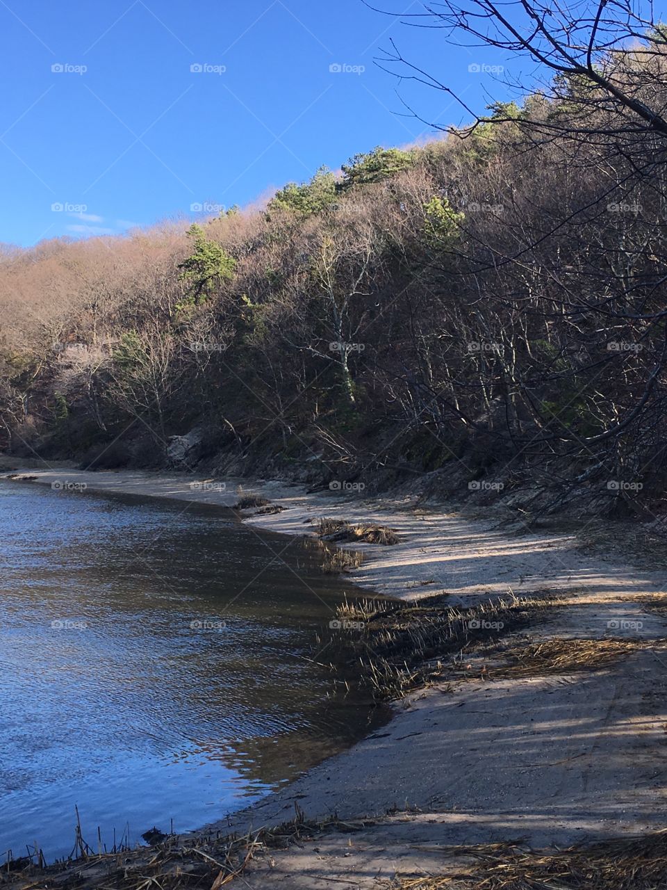 Creek coastline.