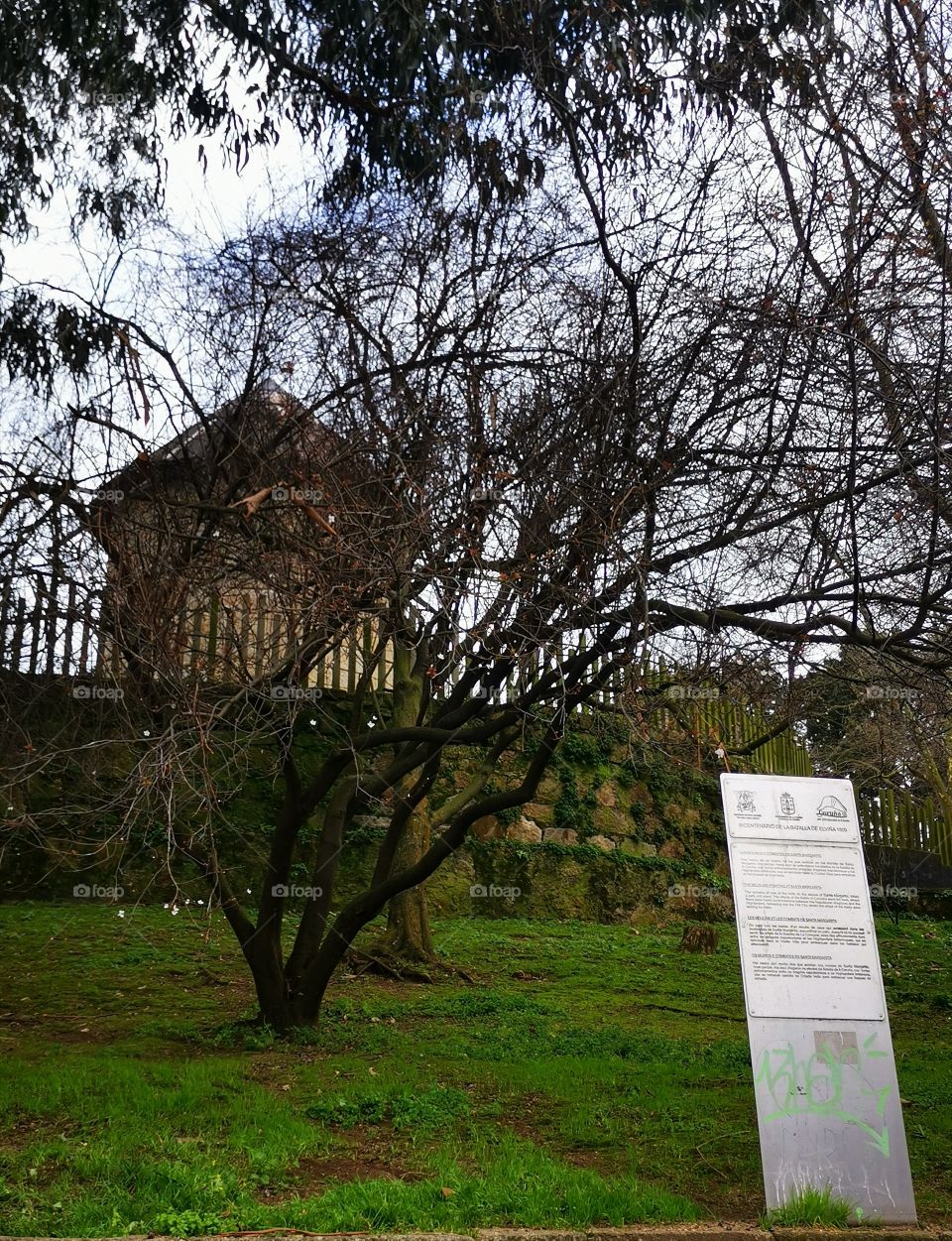 Antiguo molino de aspas, precioso