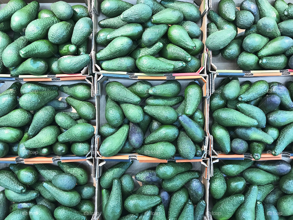 Nine boxes with ripe avocados 