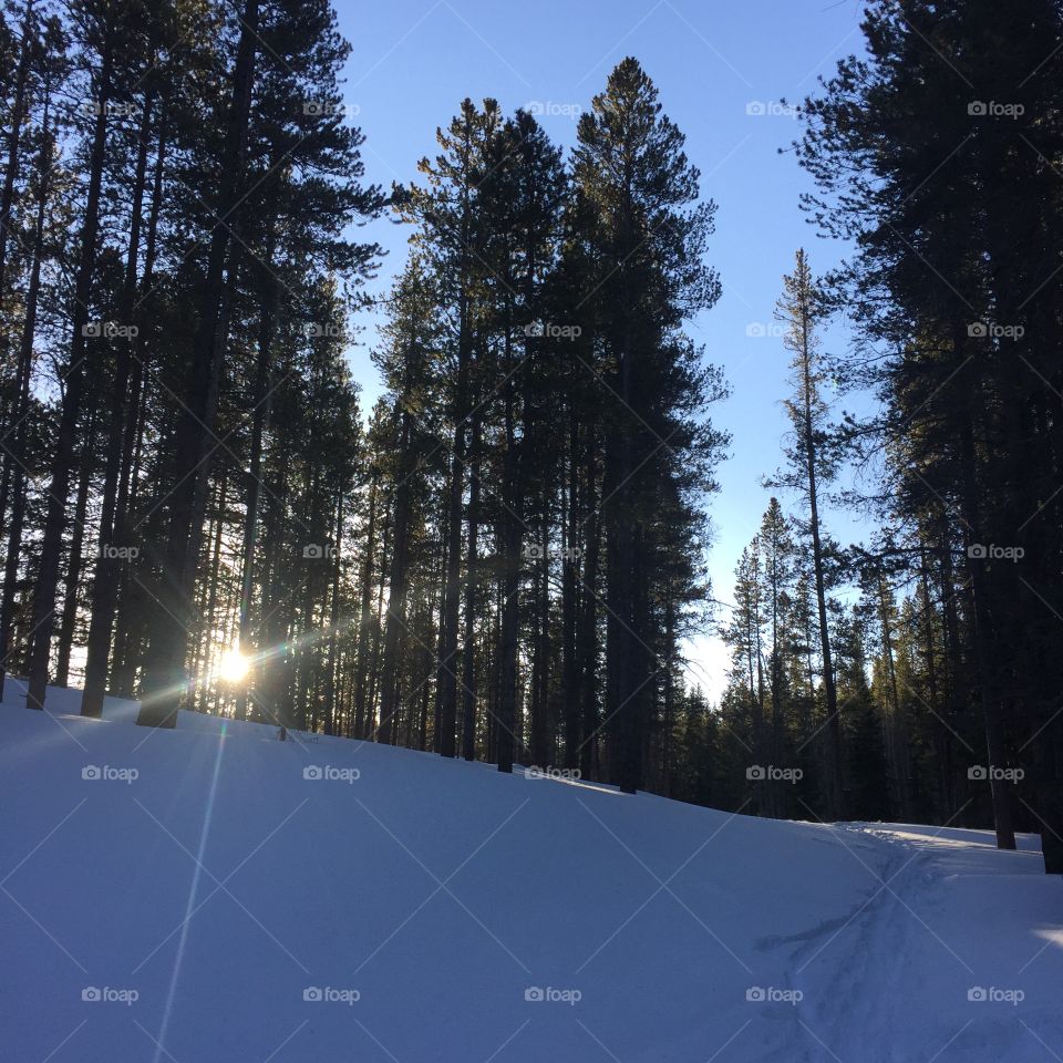 A stunning start to today's morning run. 