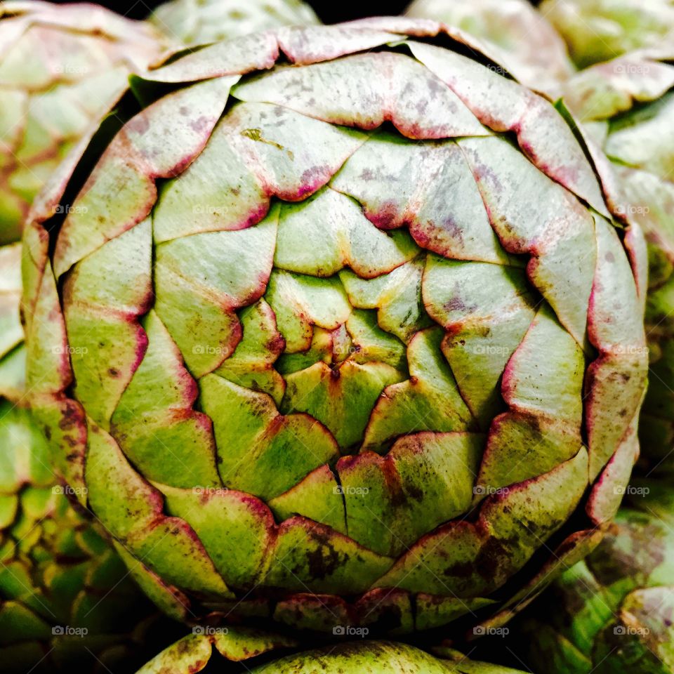 Close-up of artichoke