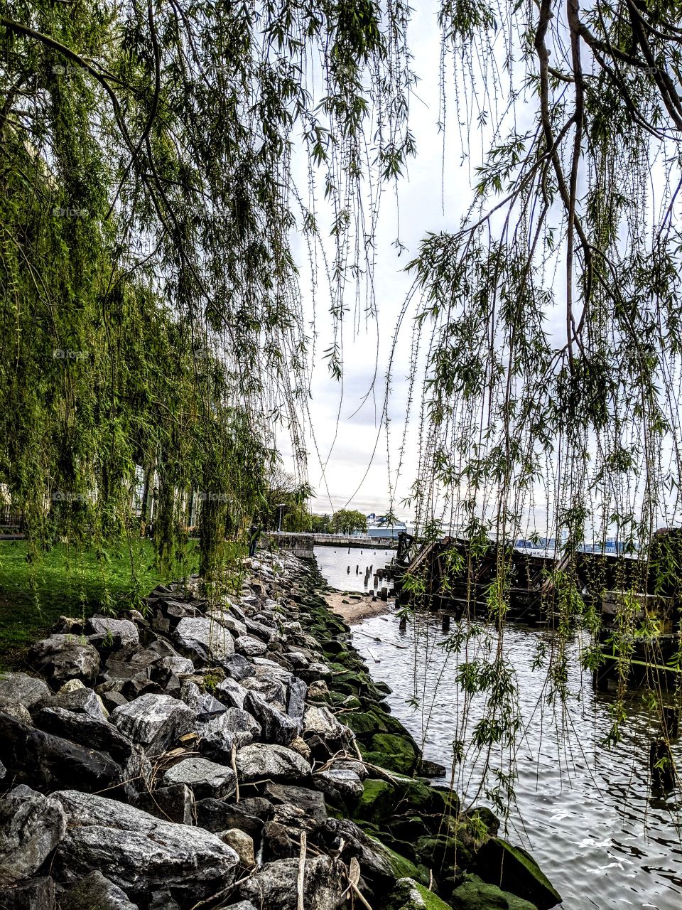 walk along the waterfront, peaceful landscape
