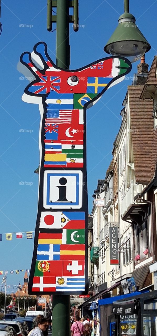 giraffe in Trouville