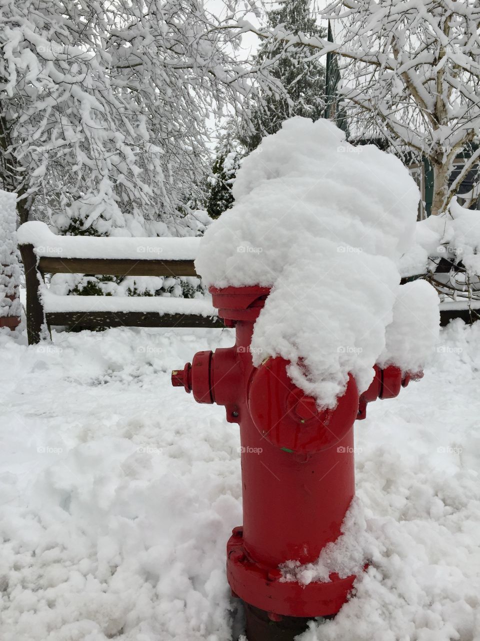 Snowy Hydrant