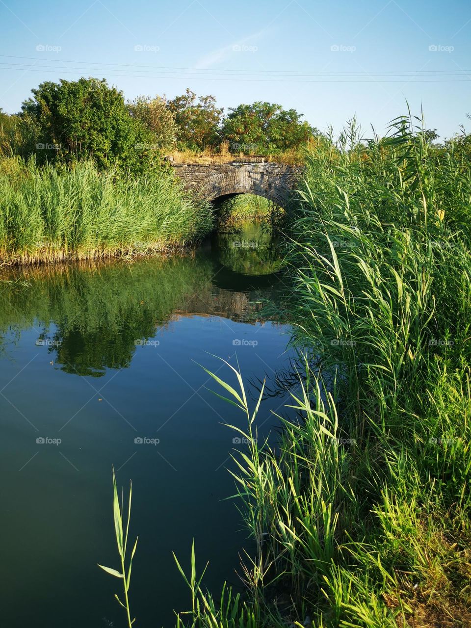 Old brige on the river