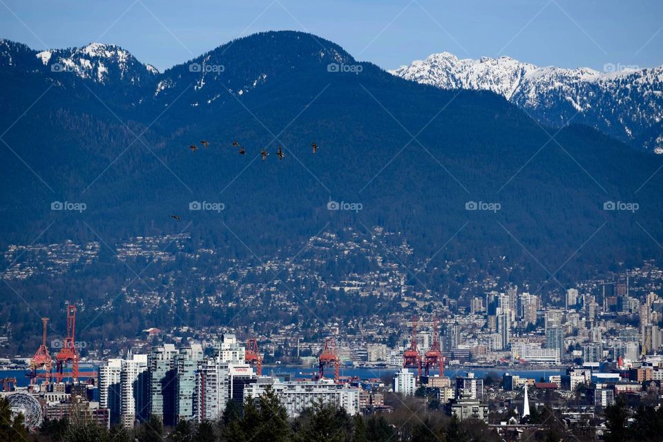 city of Vancouver BC from Queen Elisabeth Park