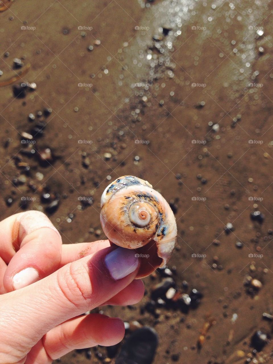 Holding shell