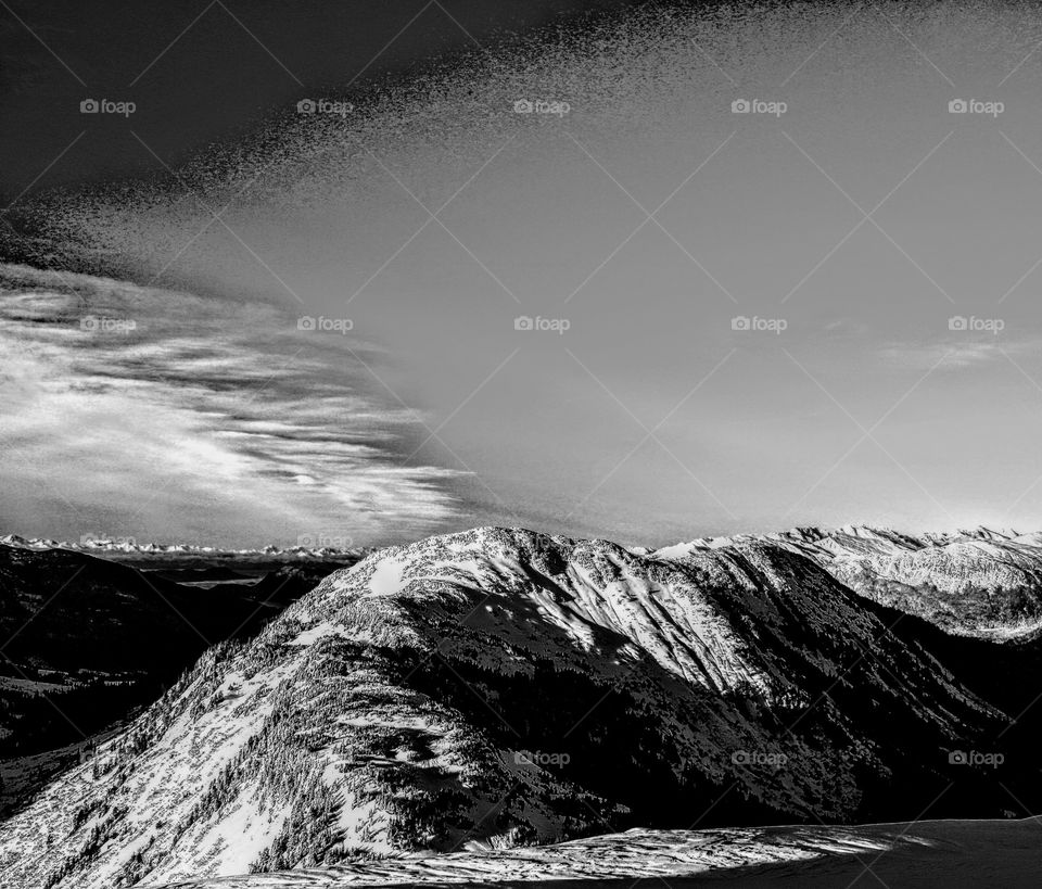 Hogs back black and white