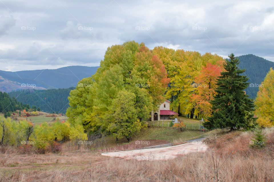 Autumn Landscape, Rhodopes Mountain, Bulgaria