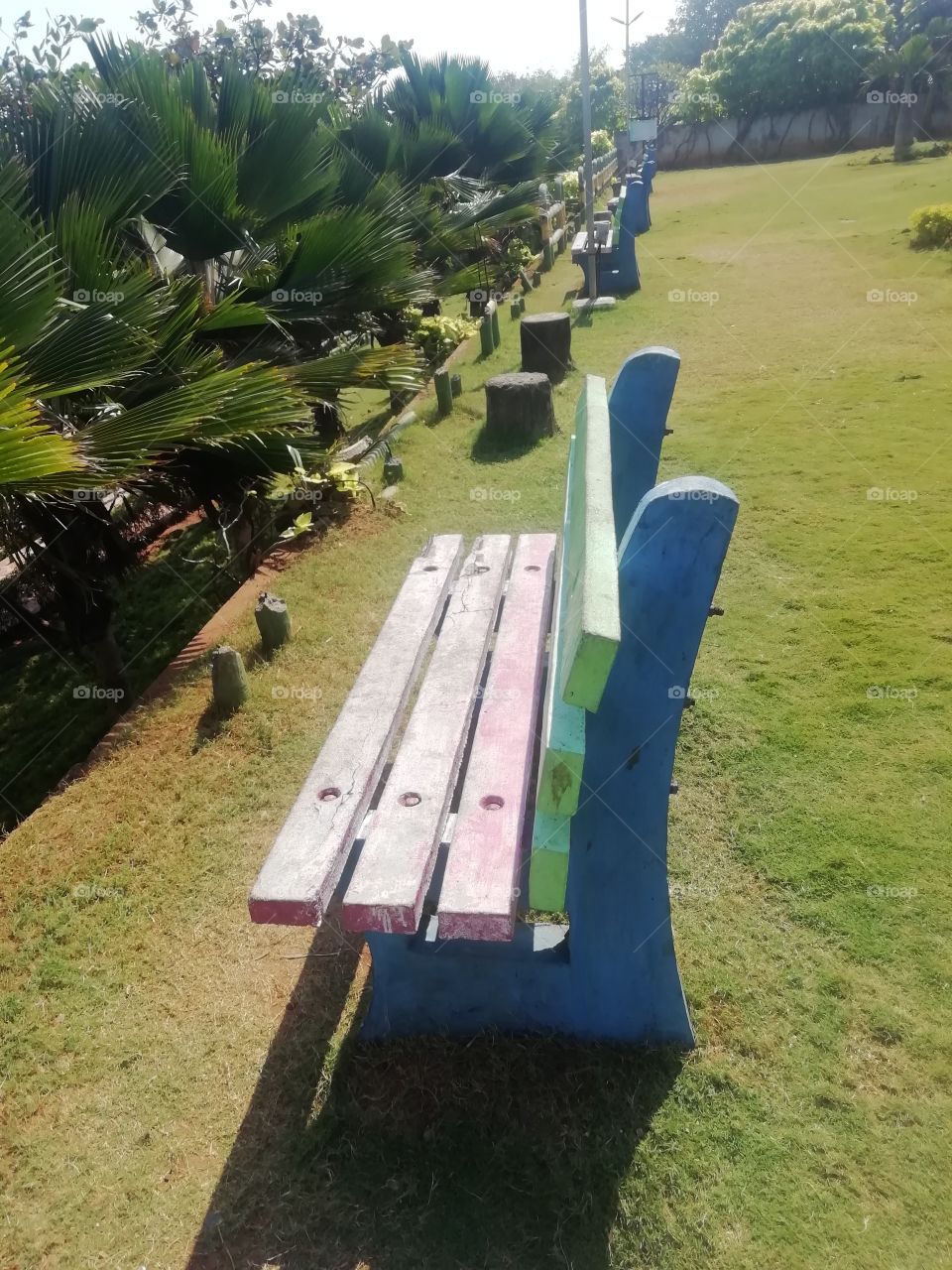 Multi colored bench in a bright sunny day