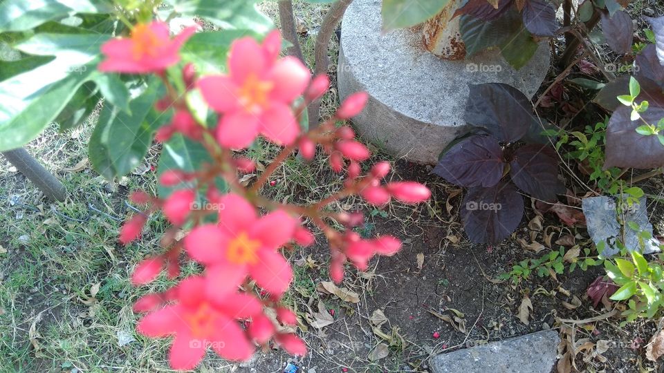 nature pictures verry nice day