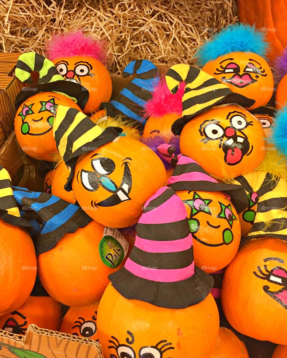 Battle: Summer vs Fall - Unique pumpkins - They come adorned with festive hats and fun feathery hair. Each is a true, smooth skinned miniature pumpkin with a personality of its own.