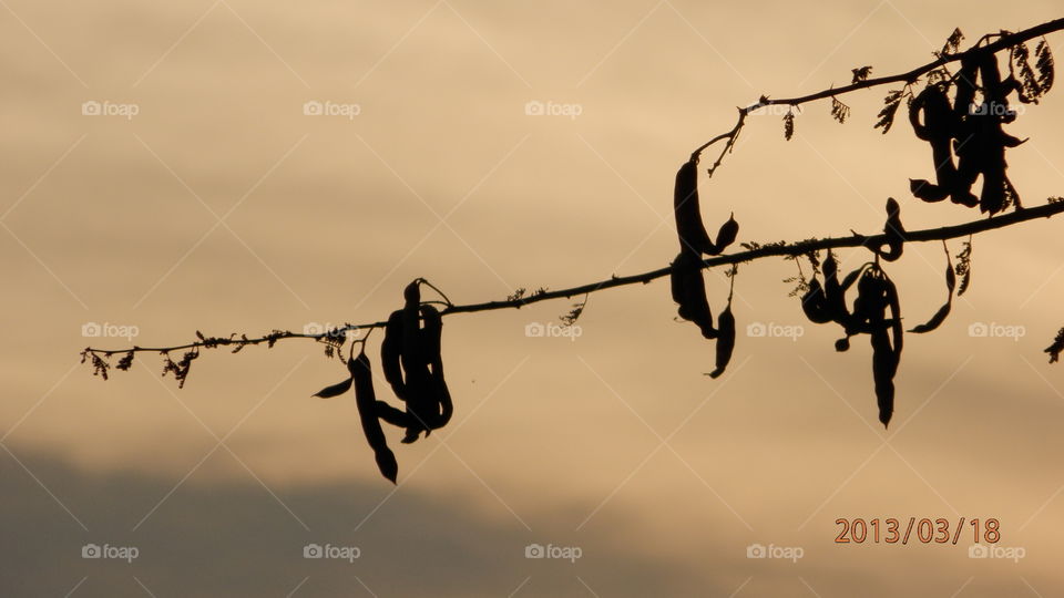 I Pix HD. Evening Sky