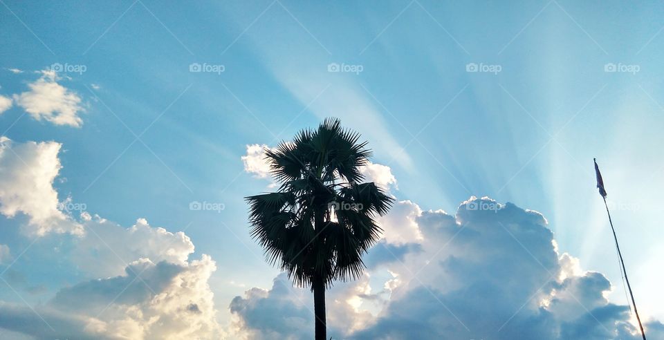 cloud at the time of sunset