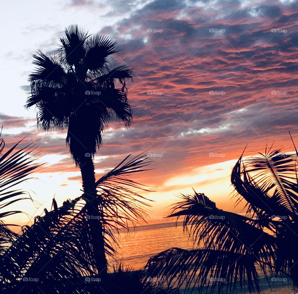 San Diego Sunset Ocean Sky