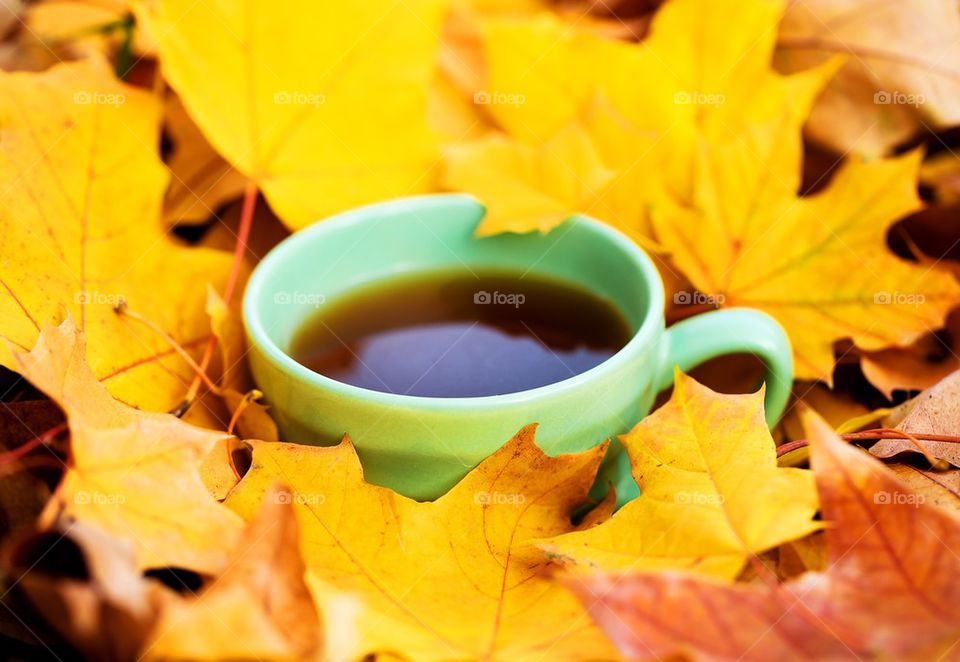 Tea cup with maple leaves