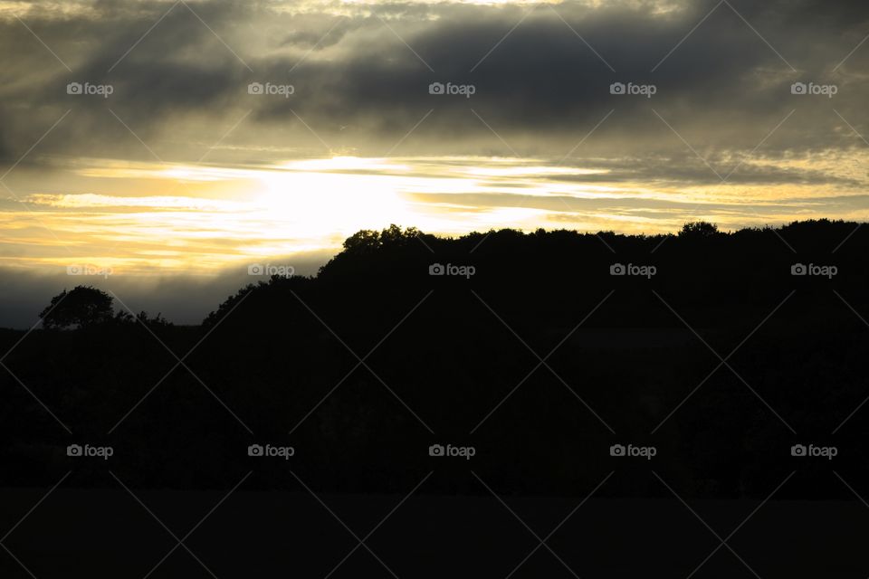 landscape with trees