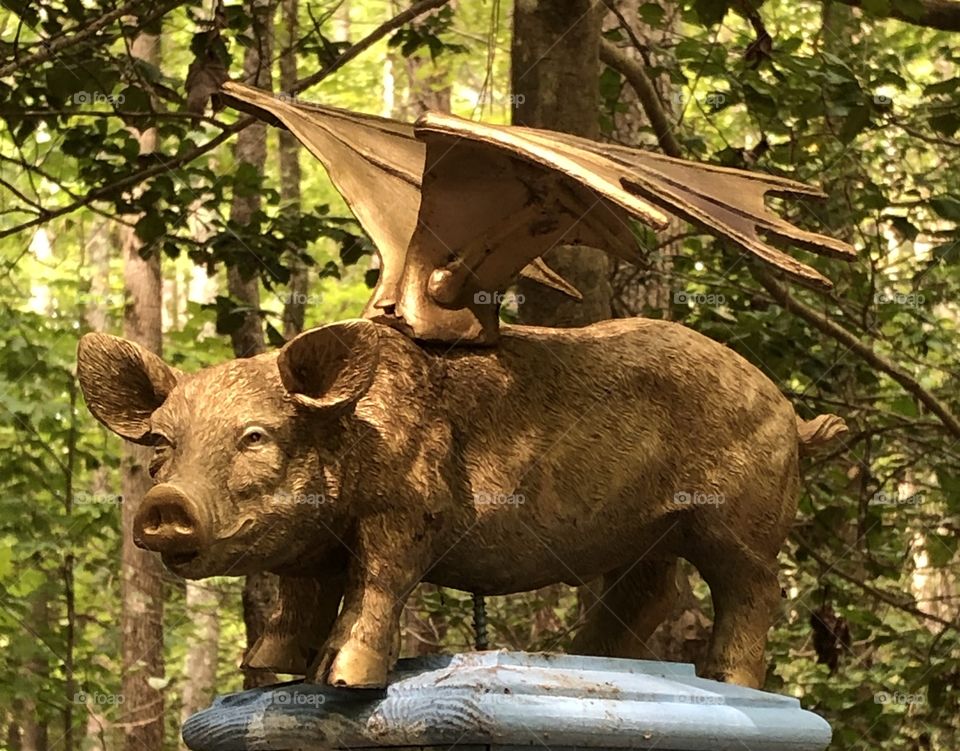 Who Says Pigs Can’t Fly? - Fun Sculpture at Annmarie Gardens - Solomons, Maryland