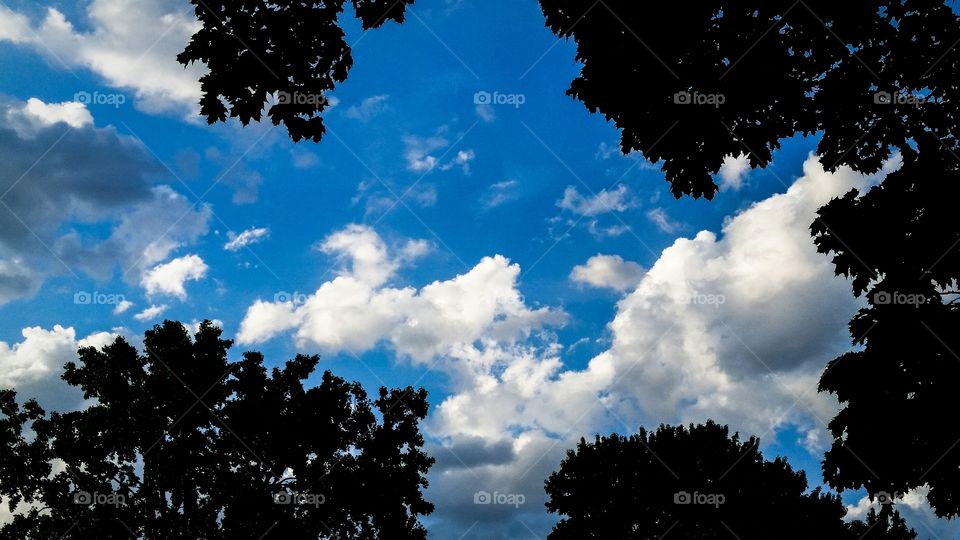 Bright blue sky, with some clouds, and trees