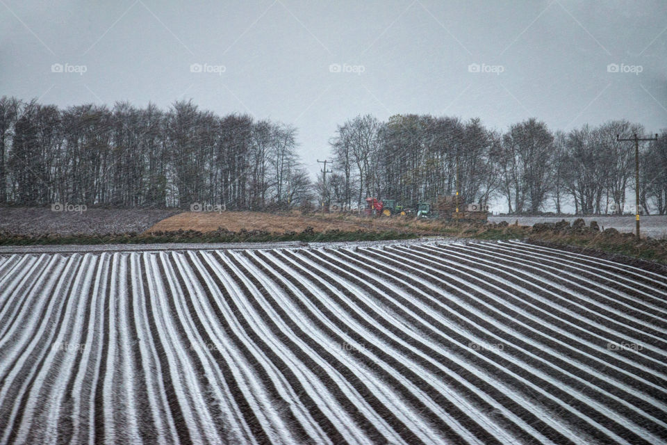 Scottish farm in snow 