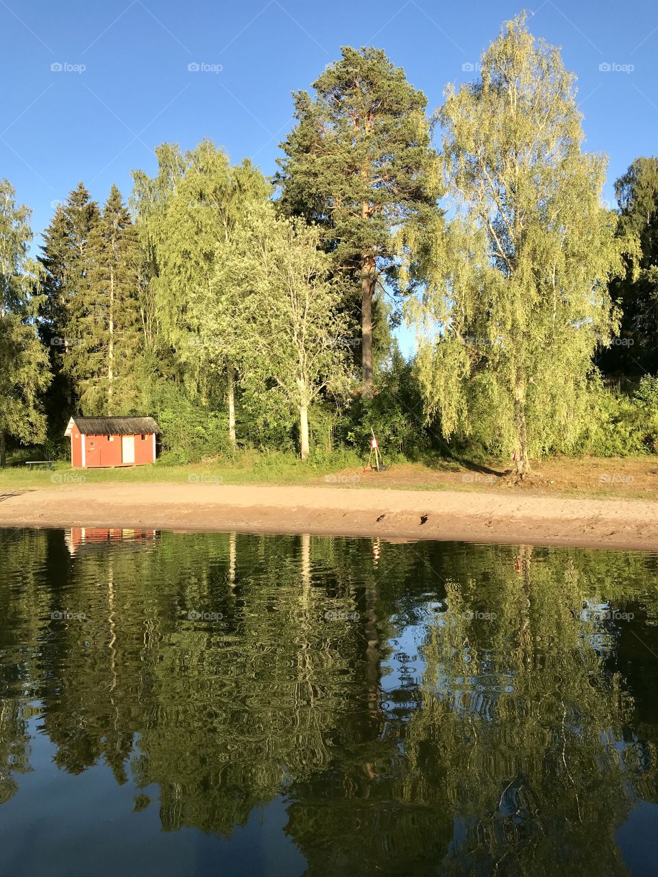 Lake side view with trees and a cottage