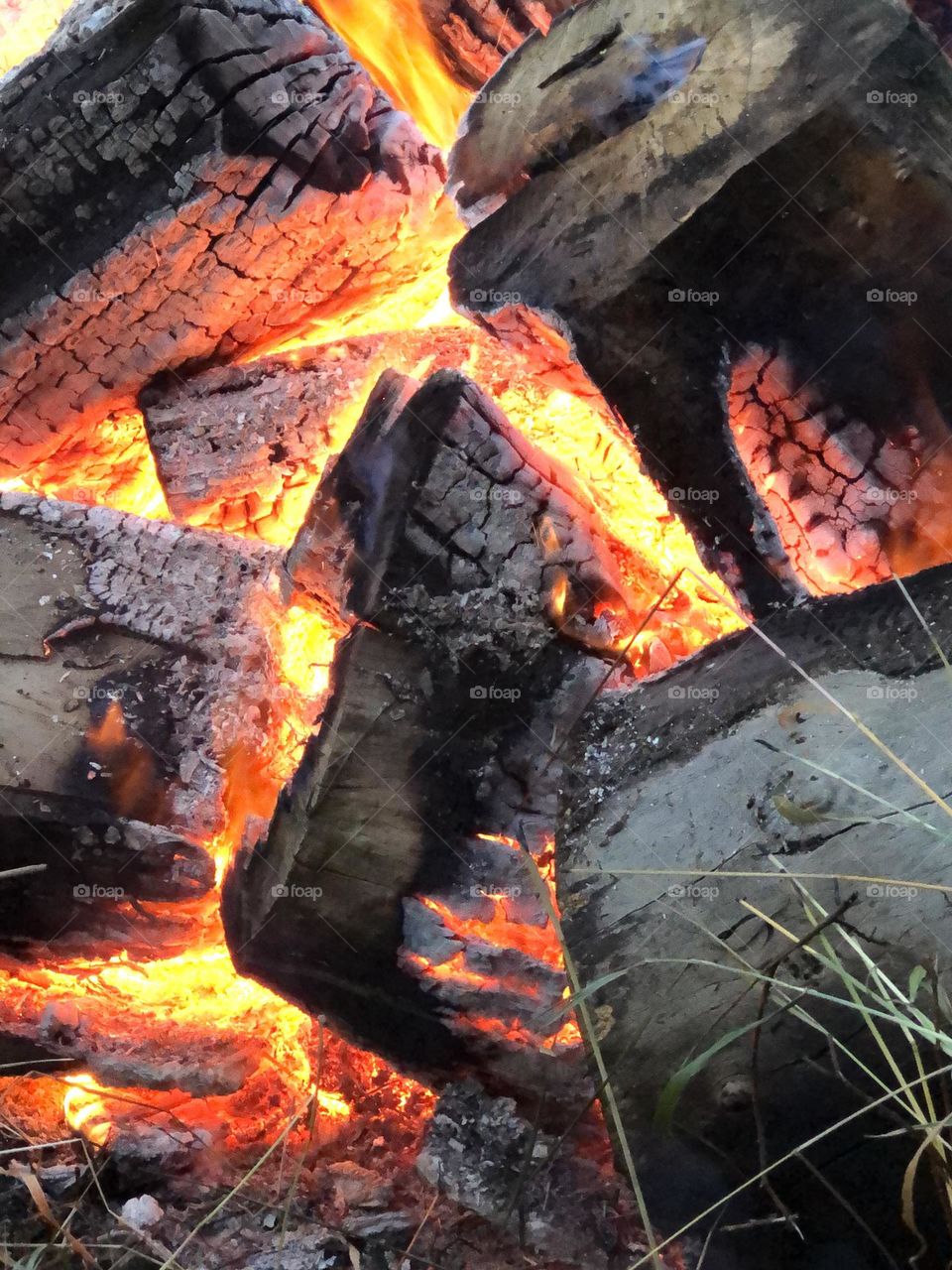 Bonfire logs