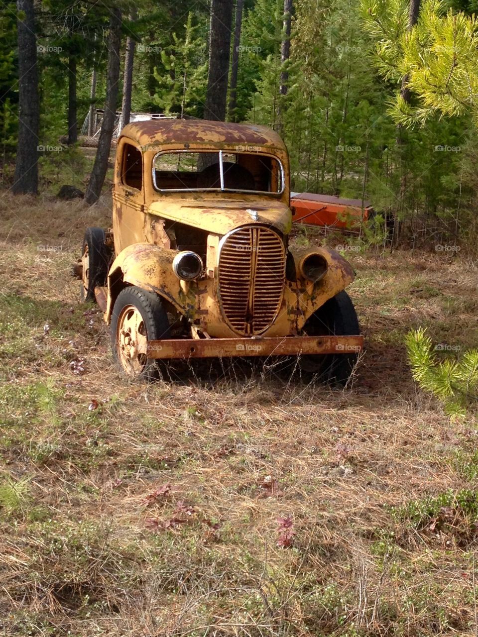 Vintage Vehicle 