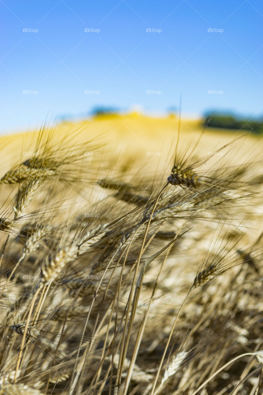 Tuscany & Marche