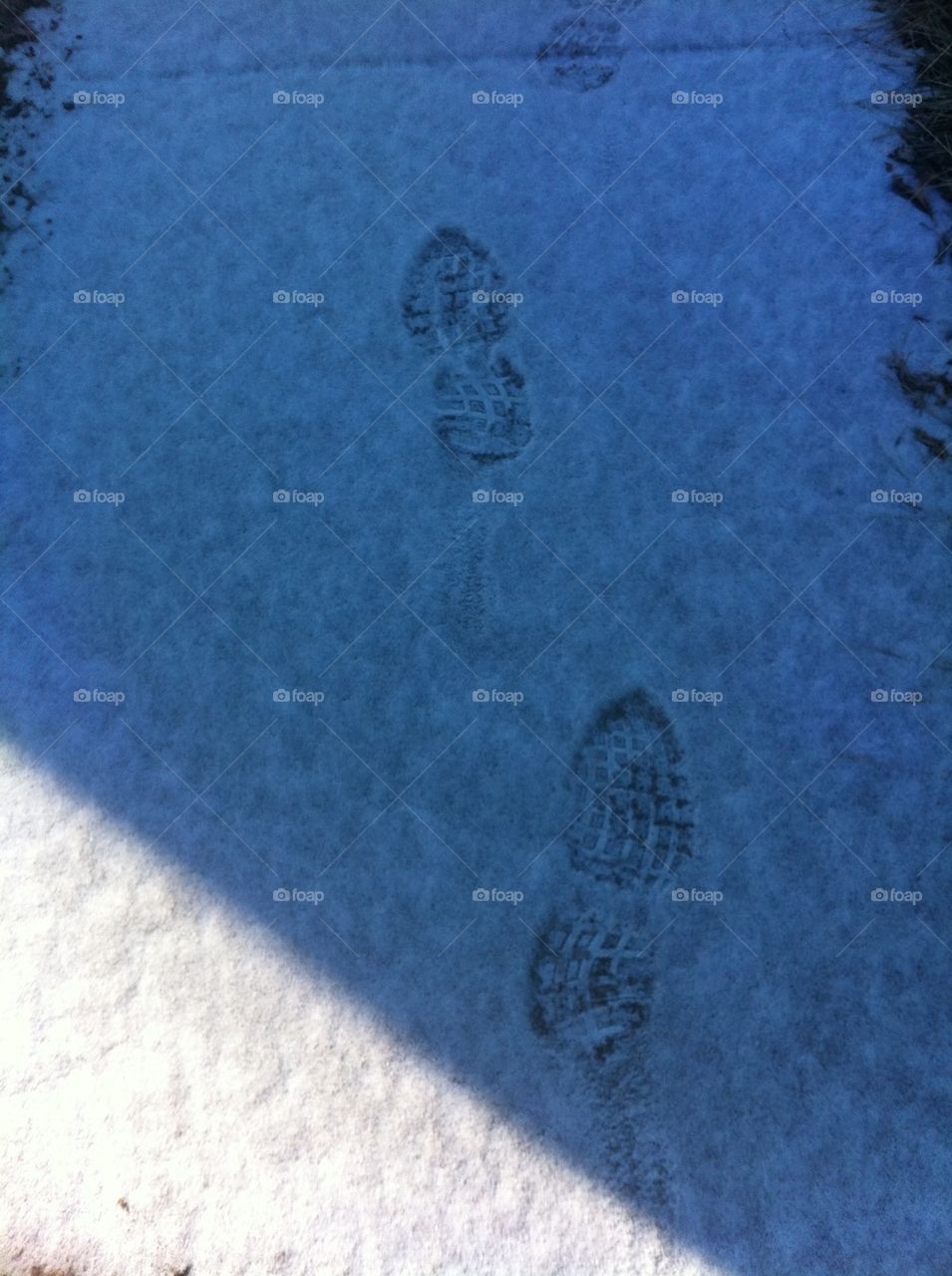 Snow prints