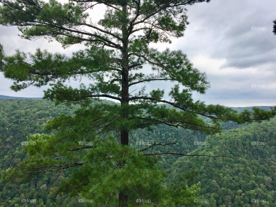 Cloudy summer day in PA