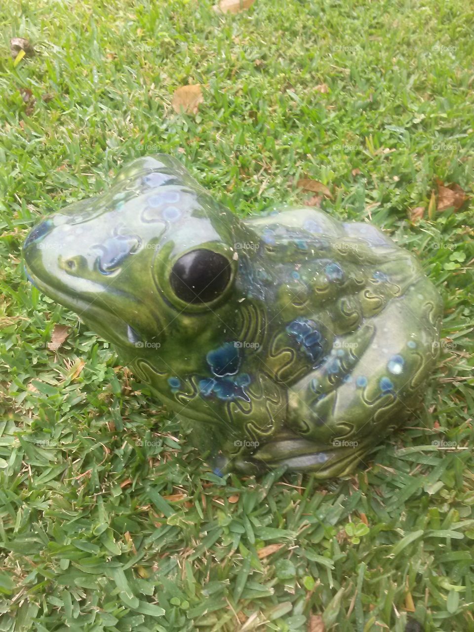 frog on my lawn. lawn ornament 