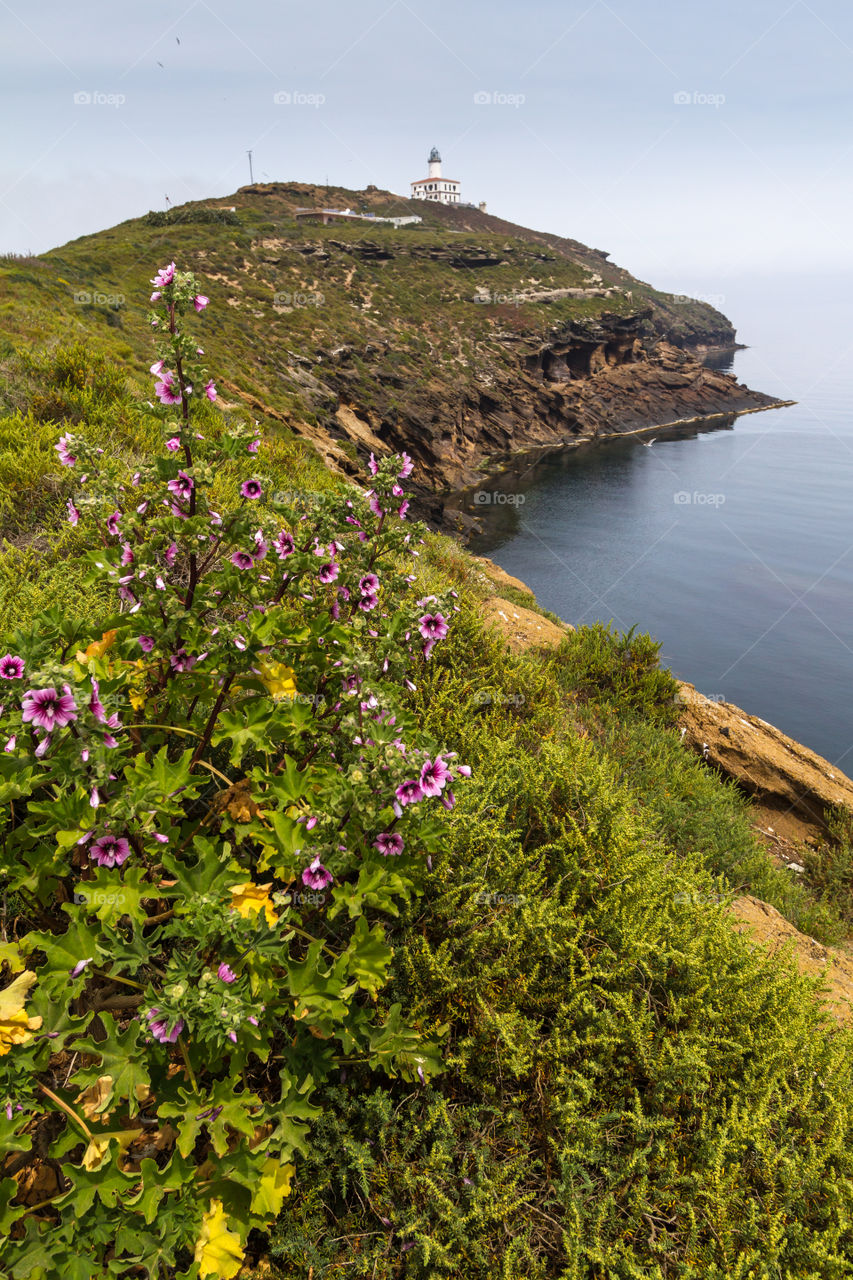 columbretes Islands, Spain