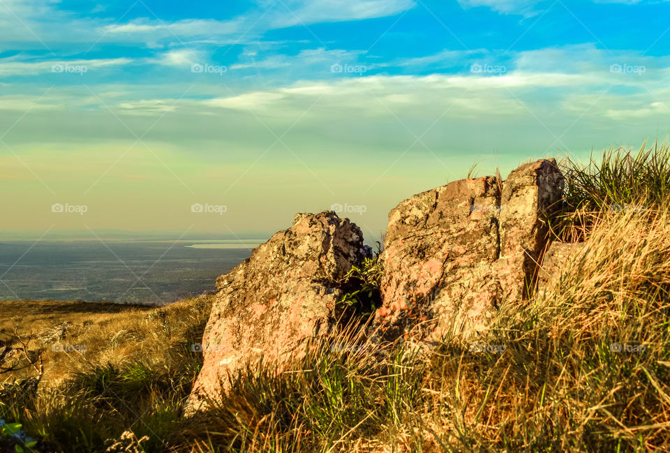 Scenic view of nature