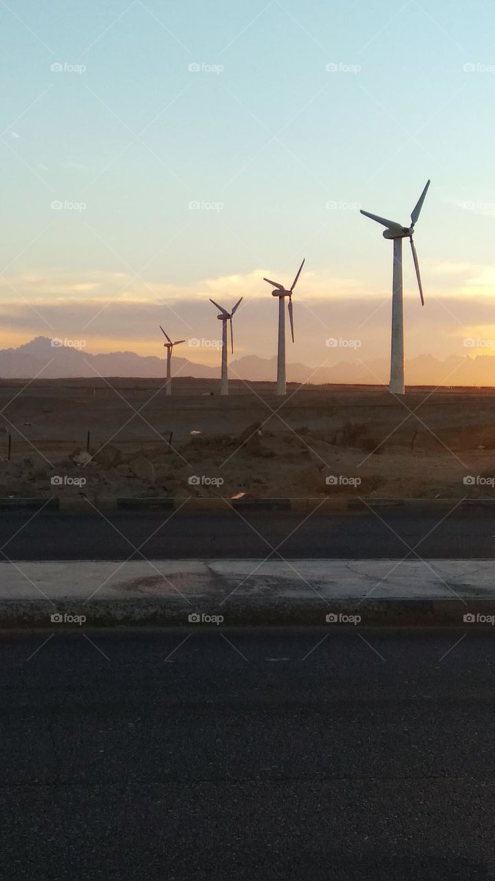 be authentic go green