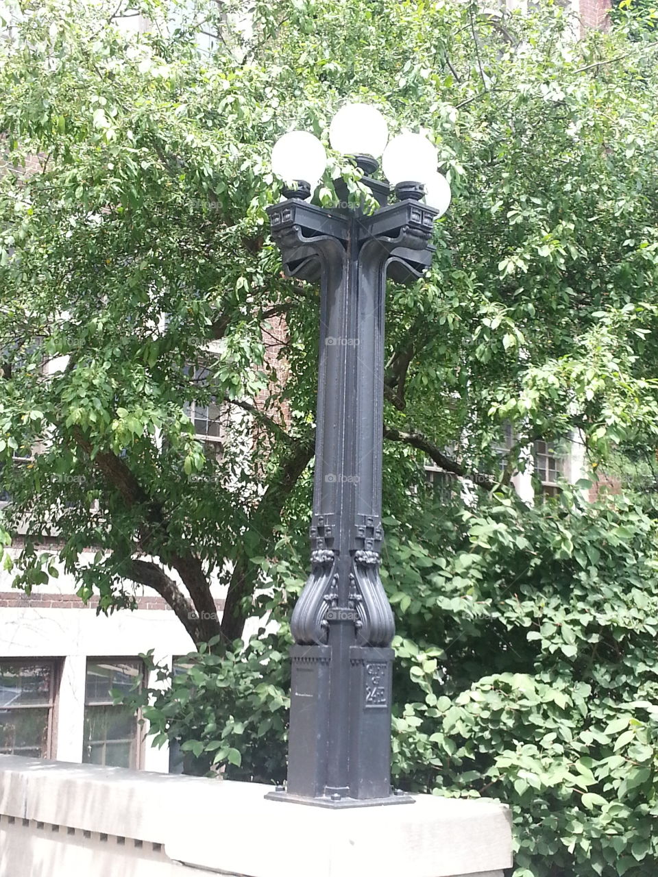 University of Michigan