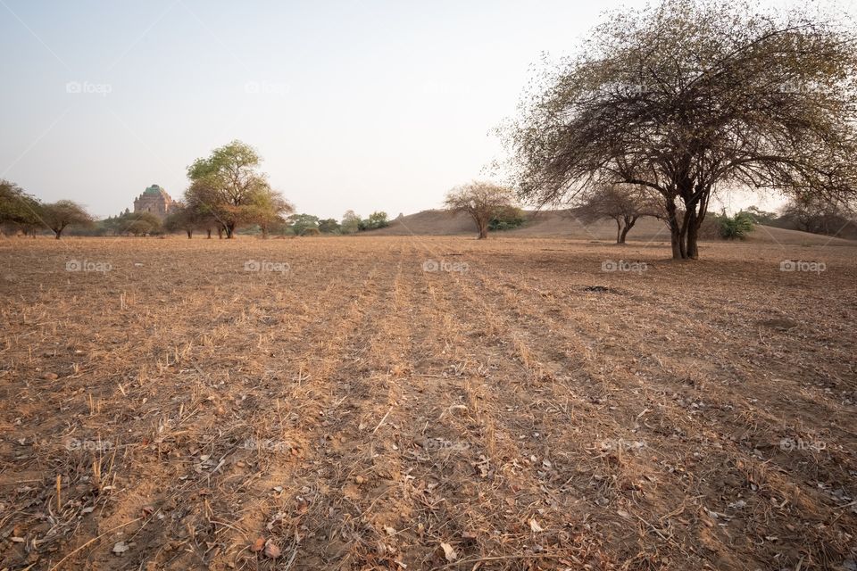 Asia Drought in 2019 effect to agriculture