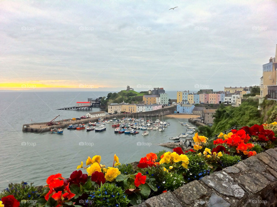 flowers harbour tenby by steve.fisher.562