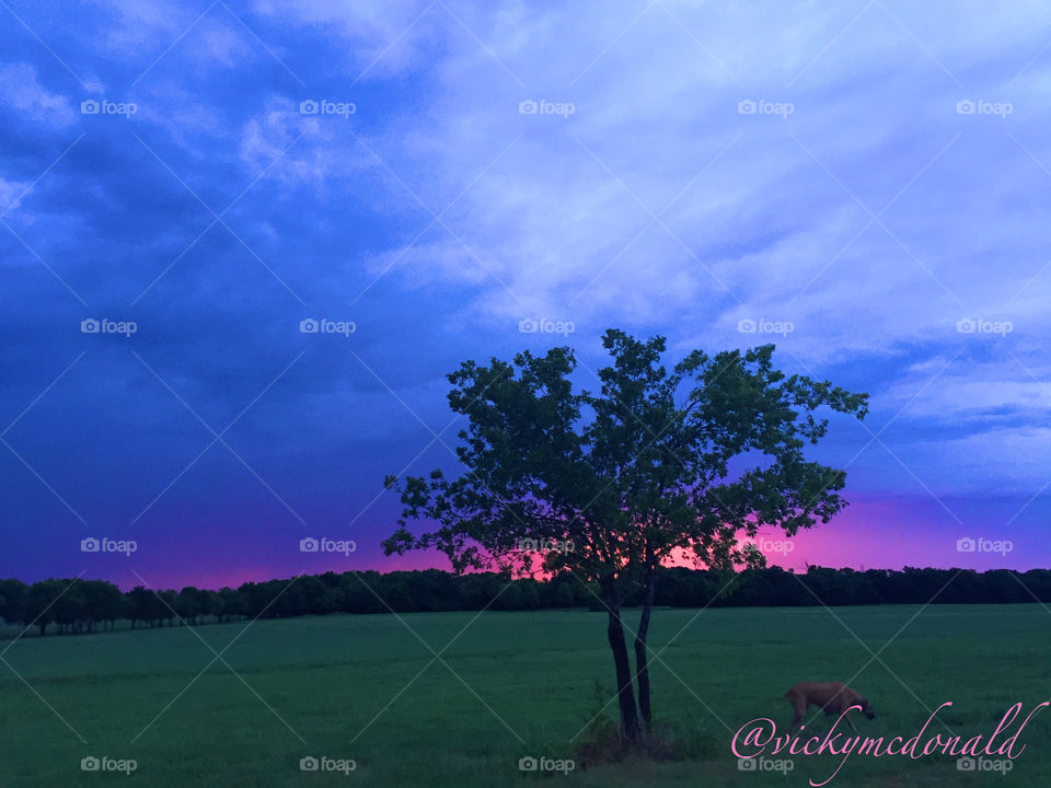 No Person, Nature, Outdoors, Rural, Countryside