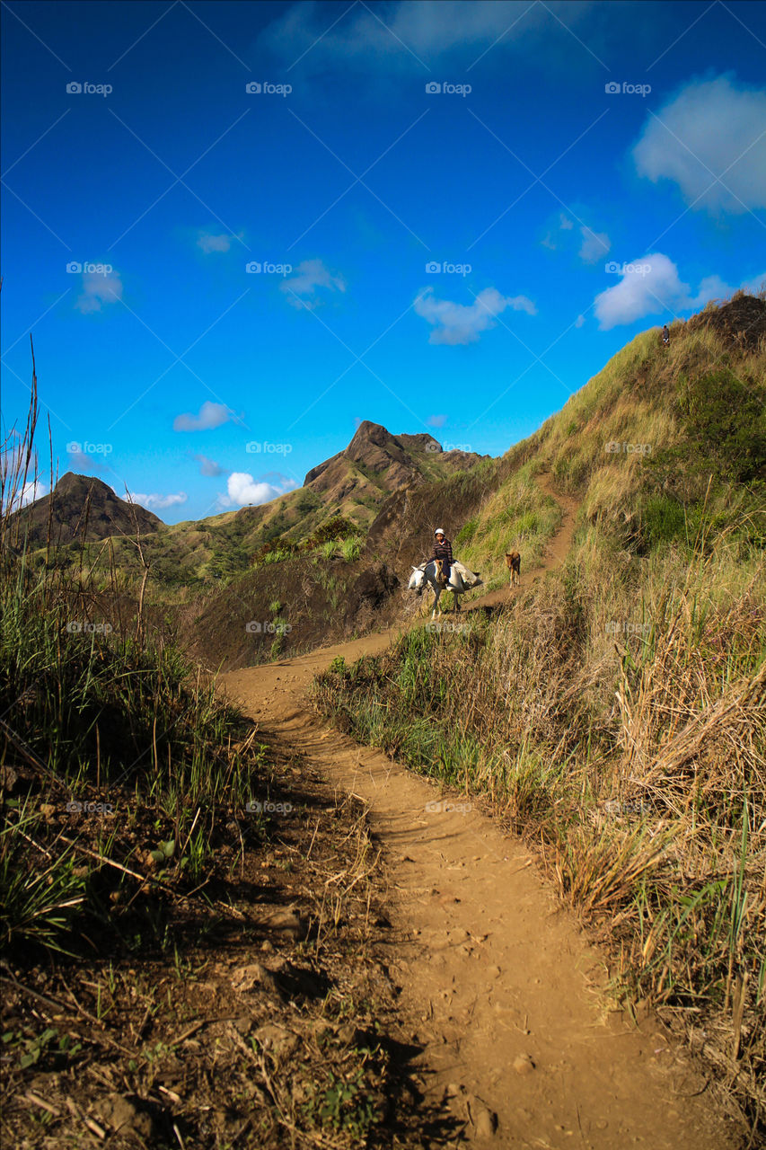 hiking trails